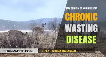 Chronic Wasting Disease: Understanding the Fatal Progression and Timeline