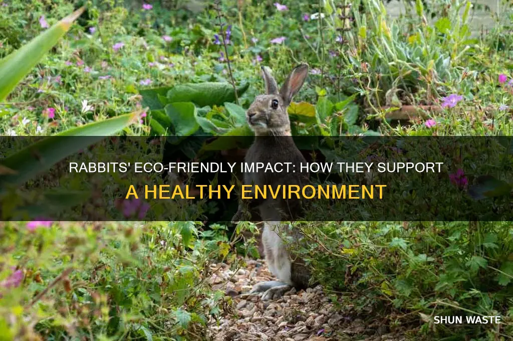 how rabbits help the environment