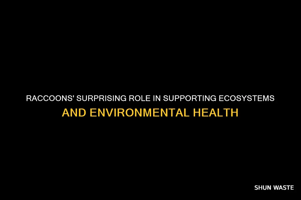 how raccoons help the environment