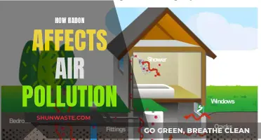 Radon's Impact: Understanding Its Influence on Air Pollution