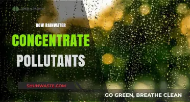 Rainwater: Concentrating Pollutants, Impacting the Environment