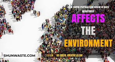 Rapid Population Growth: Environmental Impacts and Unsustainable Consequences