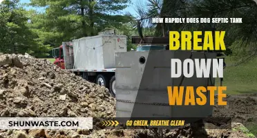 How Fast Does a Dog Septic Tank Decompose Waste?