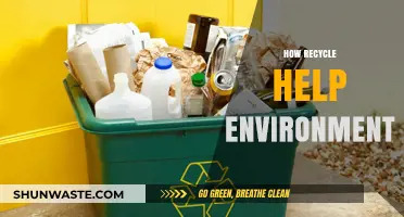 Recycling's Impact: How Reusing Materials Protects Our Planet and Future