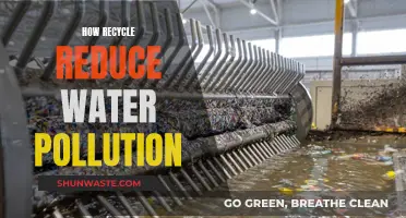 Recycle Right: How Waste Reduction Fights Water Pollution