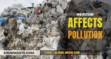 Recycling's Impact: Pollution's Downfall