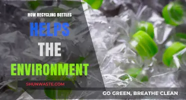 Recycling Bottles: A Simple Step Towards a Greener, Healthier Planet