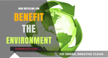 Recycling's Environmental Impact: Sustainable Practices for a Greener Future