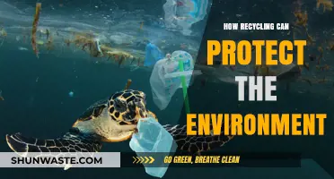 Recycling's Power: Protecting Our Planet and Preserving Natural Resources