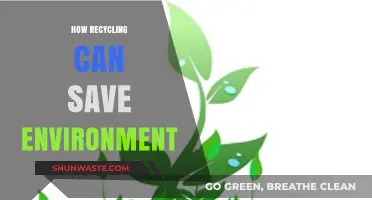 Recycling's Power: Transforming Waste to Save Our Environment