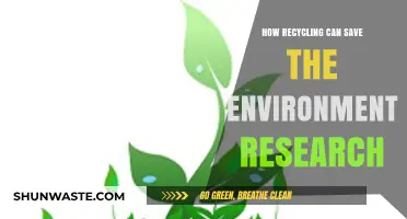 Recycling's Impact: How Reusing Materials Protects Our Planet and Future