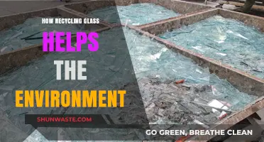 Recycling Glass: A Sustainable Step to Protect Our Planet