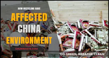 Recycling's Impact: Transforming China's Environment and Sustainability Efforts