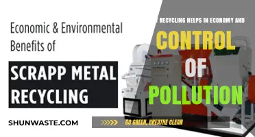 Recycling: Economic Benefits, Pollution Control