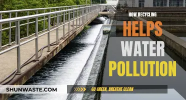 Recycling's Role: Reducing Water Pollution for a Healthier Planet