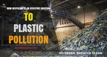 Recycling: An Effective Solution to Plastic Pollution