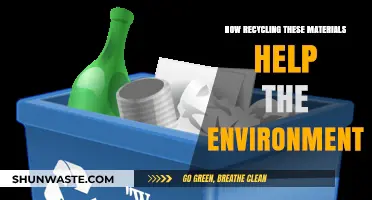 Recycling Essentials: How Reusing Materials Protects Our Planet and Future