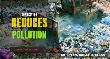 Recycling: Pollution Reduction through Waste Management