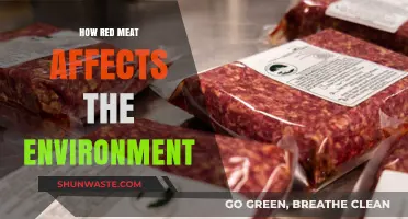 Red Meat's Environmental Impact: Uncovering the Hidden Costs of Consumption