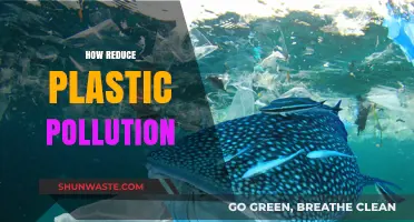 Combating Plastic Pollution: Steps to Reduce Plastic Waste