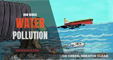 Simple Steps to Protect Our Water: A Guide to Reducing Pollution