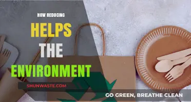 Cutting Waste: Simple Reduction Tips for a Greener Planet