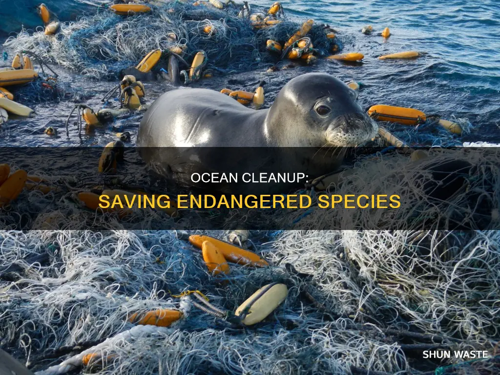 how reducing ocean pollution helps endangered species