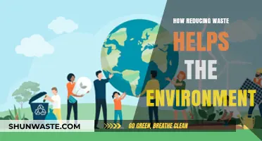 Cutting Waste: Simple Steps for a Greener, Healthier Planet
