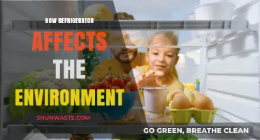 Refrigerators' Environmental Impact: Energy, Emissions, and Eco-Friendly Solutions