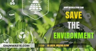 Regulation's Role: Protecting Our Planet for a Sustainable Future