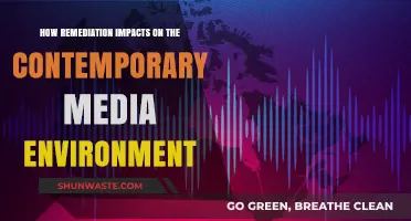 Remediation's Role in Shaping Today's Media Landscape and Culture