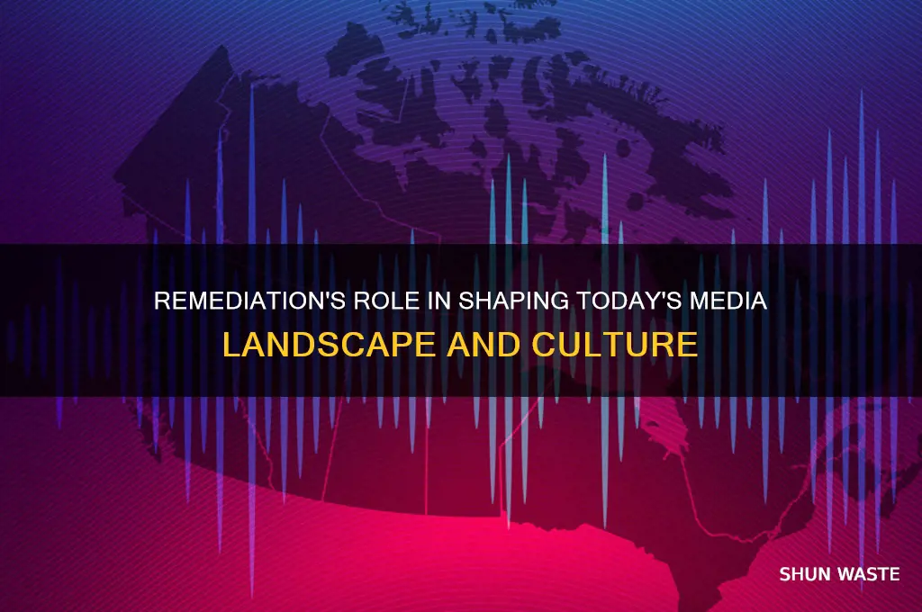how remediation impacts on the contemporary media environment