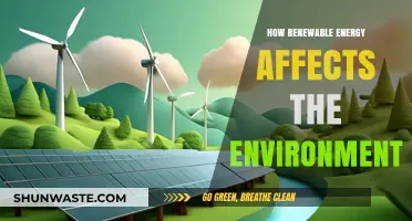 Renewable Energy's Environmental Impact: Benefits, Challenges, and Sustainable Solutions