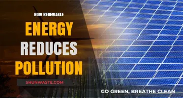 Renewable Energy: Pollution Solution