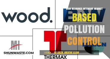 Market-Based Pollution Control: Costly Solution or Effective Strategy?