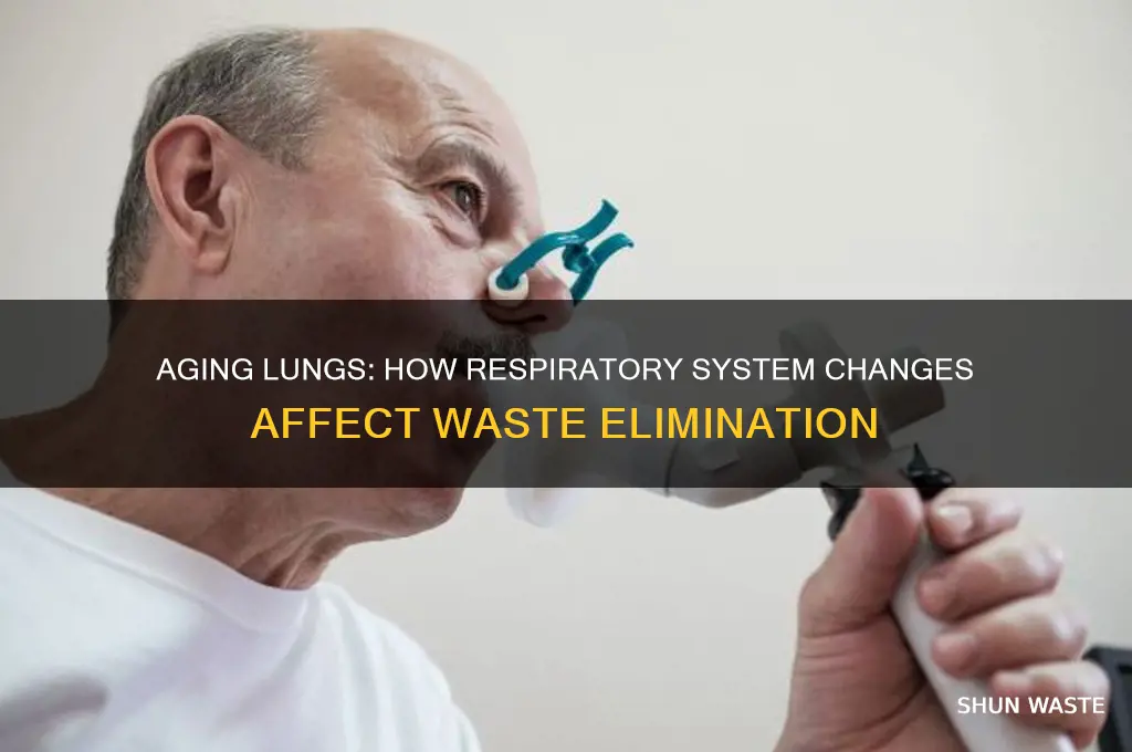 how respiratory system changes in age which wastes are eliminated