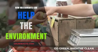 Sustainable Dining: How Restaurants Can Lead Environmental Change