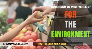 Eco-Friendly Dining: Sustainable Practices for Greener Restaurants