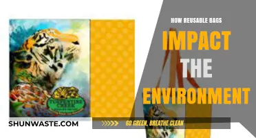 Reusable Bags: Eco-Friendly Choice Reducing Plastic Waste and Pollution