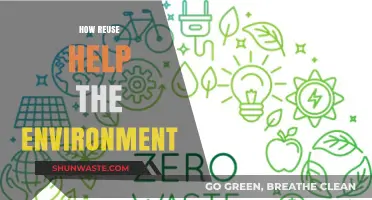 Reusing Reduces Waste: Simple Ways to Help the Environment Thrive