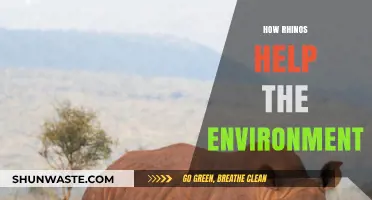 Rhinos as Eco-Guardians: Their Vital Role in Sustaining Ecosystems