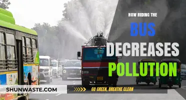 Bus Travel: Reducing Pollution, Improving Air Quality