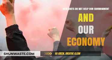 Riots' Destructive Impact: Harming Environment, Economy, and Social Progress