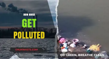 Rivers: Polluted by Human Activities