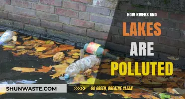 Waterways Pollution: How Rivers and Lakes Are Ruined