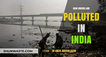 Rivers in India: Polluted and Plundered