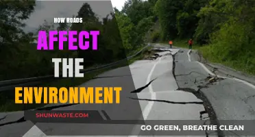 Roads' Environmental Impact: Ecosystems, Wildlife, and Climate Change Explored
