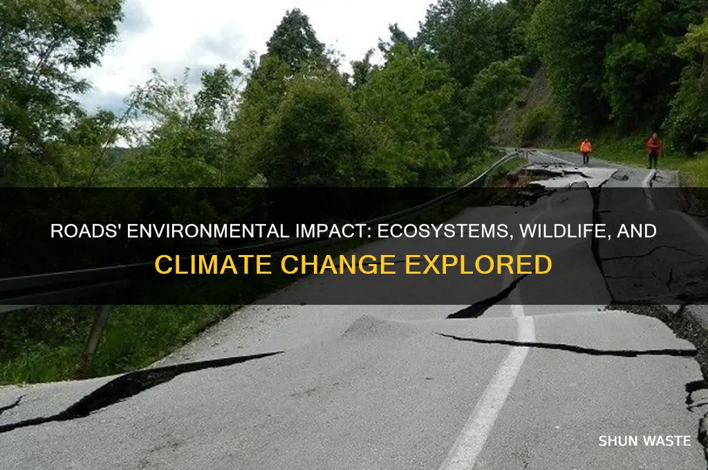 how roads affect the environment