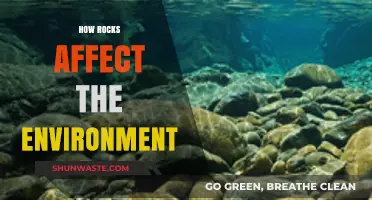 Rock's Role: Environmental Impacts and Ecosystem Influences Explained