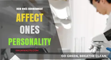How Your Surroundings Shape Your Personality: Uncovering Environmental Influences